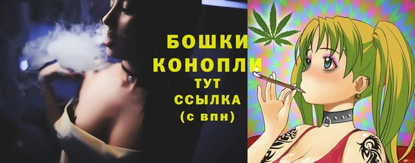 молекула духа Аркадак