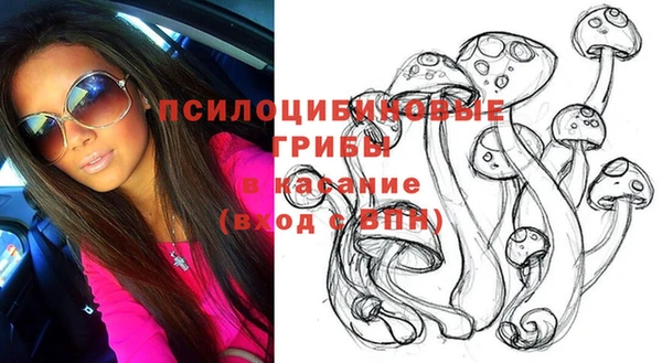 молекула духа Аркадак