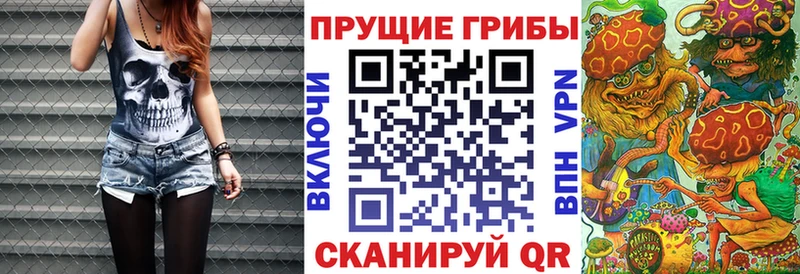 Галлюциногенные грибы MAGIC MUSHROOMS  Пугачёв 